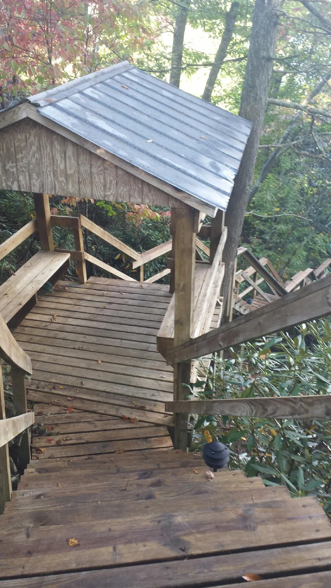 Metal roofed shelter over wooden steps on a wooded walkway — Skylight Repair & Installation work by our crew in Wray